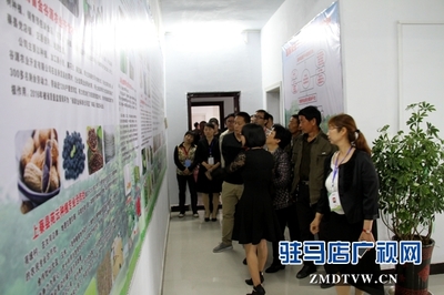 駐馬店市首個國家級'星創天地'在上蔡縣揭牌，助力農業信息咨詢與創新發展