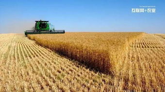 浙江來淘信息科技 互聯(lián)網(wǎng)+農(nóng)業(yè)的六種實現(xiàn)途徑及農(nóng)業(yè)信息咨詢新范式